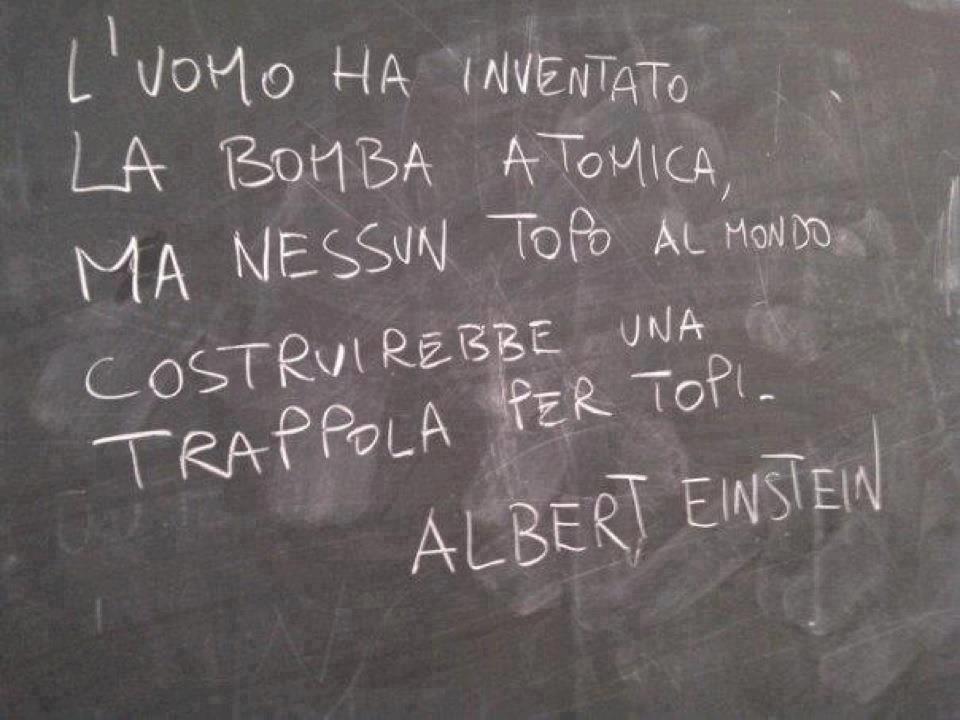 Immagine Divertente - 30/01/2013