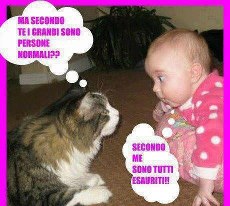 Immagine Divertente - 30/01/2013
