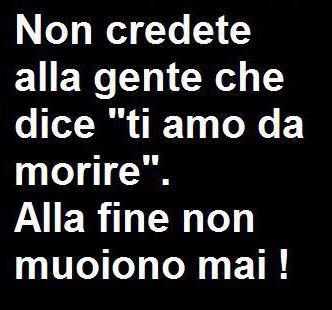 Immagine Divertente - 30/01/2013