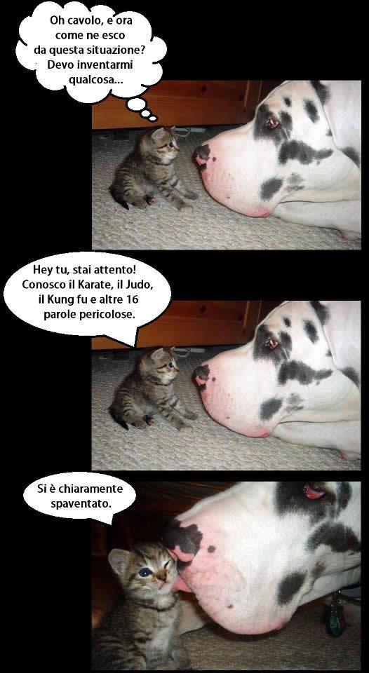 Immagine Divertente - 30/01/2013