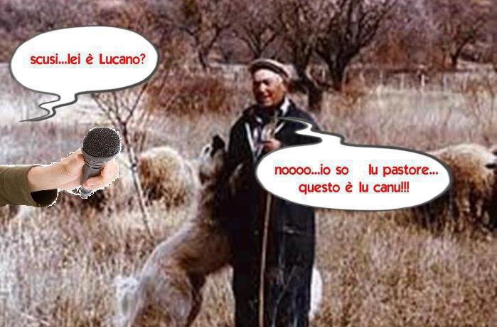 NUN TE SBAJA' !! - 31/01/2013