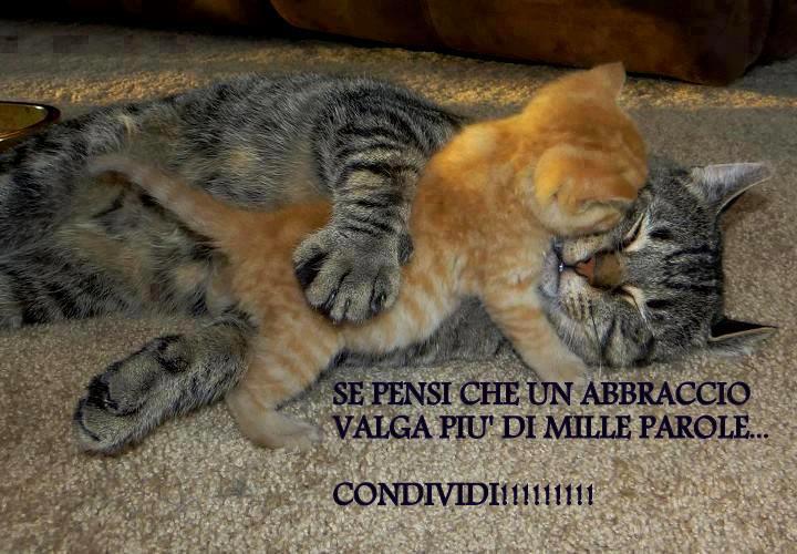 Immagine Divertente - 01/02/2013