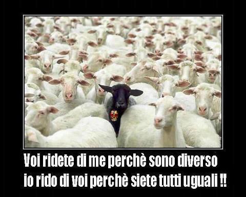 Immagine Divertente - 01/02/2013