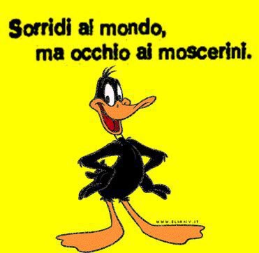 Immagine Divertente - 01/02/2013