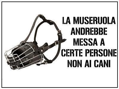 Immagine Divertente - 03/02/2013