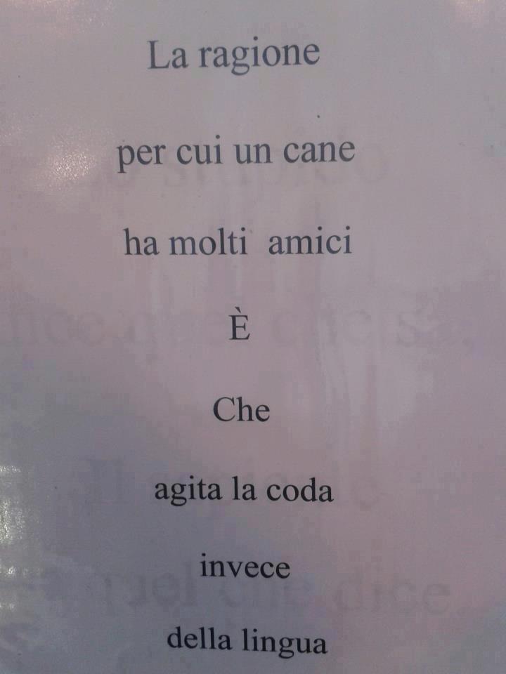 Immagine Divertente - 05/02/2013
