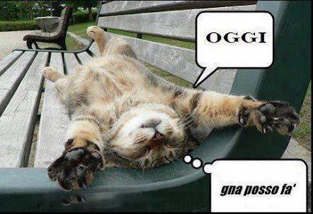 Immagine Divertente - 05/02/2013