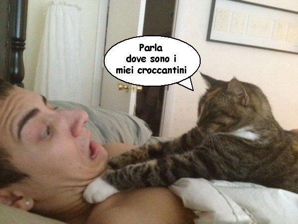 Immagine Divertente - 05/02/2013