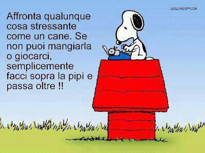 Vignetta Divertente - 06/02/2013