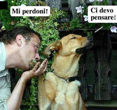 Immagine Divertente - 06/02/2013