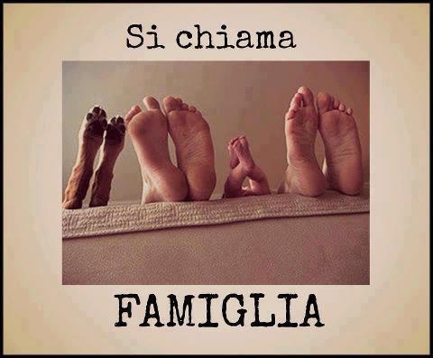 Immagine Divertente - 06/02/2013