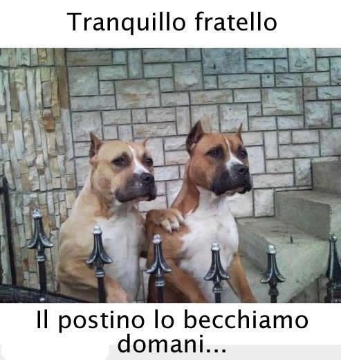 Immagine Divertente - 06/02/2013
