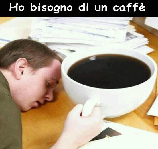 Immagine Divertente - 11/02/2013