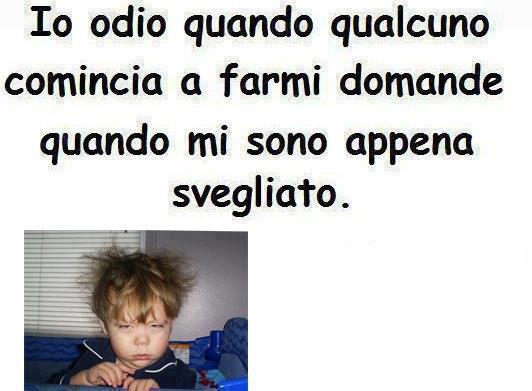 Immagine Divertente - 11/02/2013