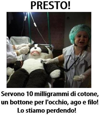 Immagine Divertente - 13/02/2013