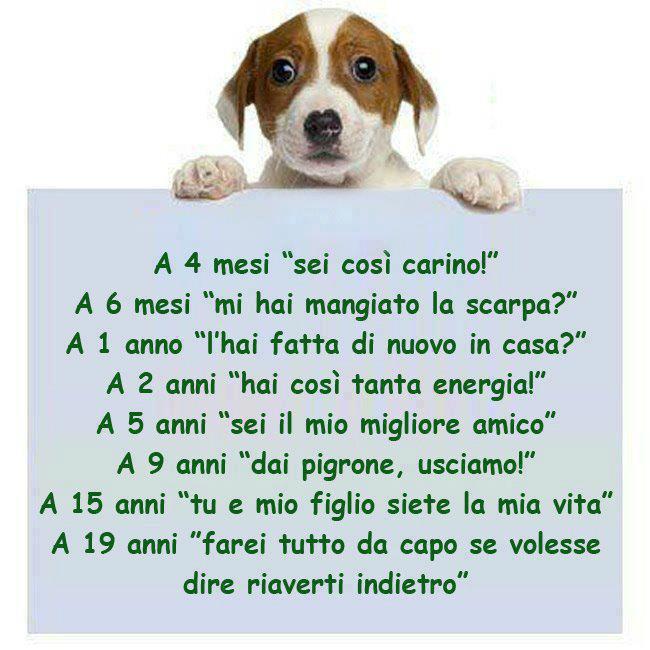 Immagine Divertente - 14/02/2013
