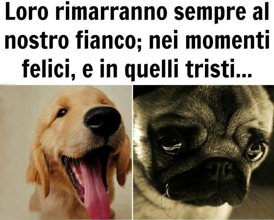 Immagine Divertente - 14/02/2013