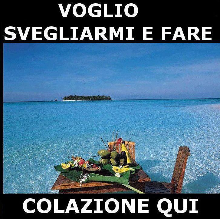Immagine Divertente - 15/02/2013