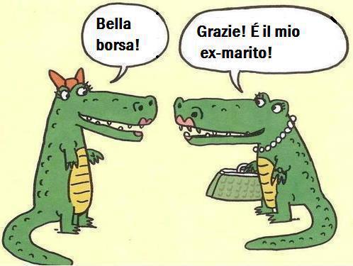 Vignetta Divertente - 15/02/2013