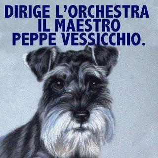 Immagine Divertente - 15/02/2013
