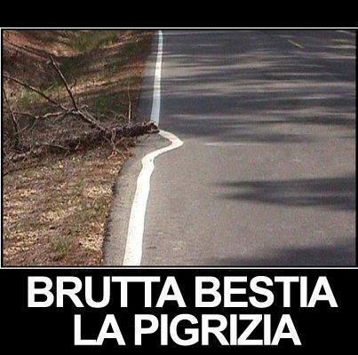 'NA BRUTTA BESTIA !! - 16/02/2013
