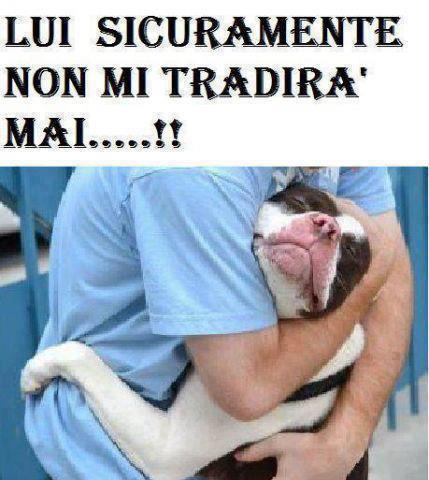 Immagine Divertente - 17/02/2013