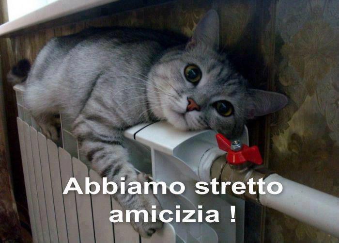 Immagine Divertente - 17/02/2013