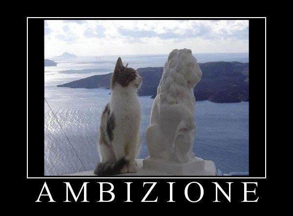 Immagine Divertente - 17/02/2013