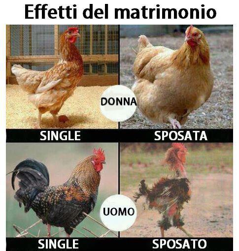 CE SO' DIFFERENZE !! - 24/09/2012