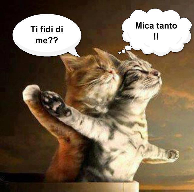 NUN ME DAI FIDUCIA !! - 19/02/2013