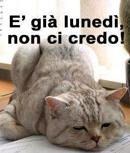 NUN CE POSSO CREDE !! - 24/09/2012
