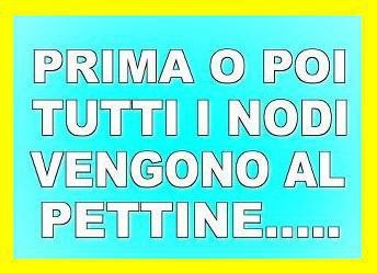 Immagine Divertente - 19/02/2013