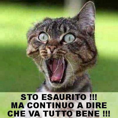 Immagine Divertente - 19/02/2013