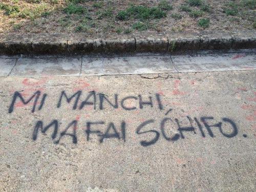 Immagine Divertente - 19/02/2013
