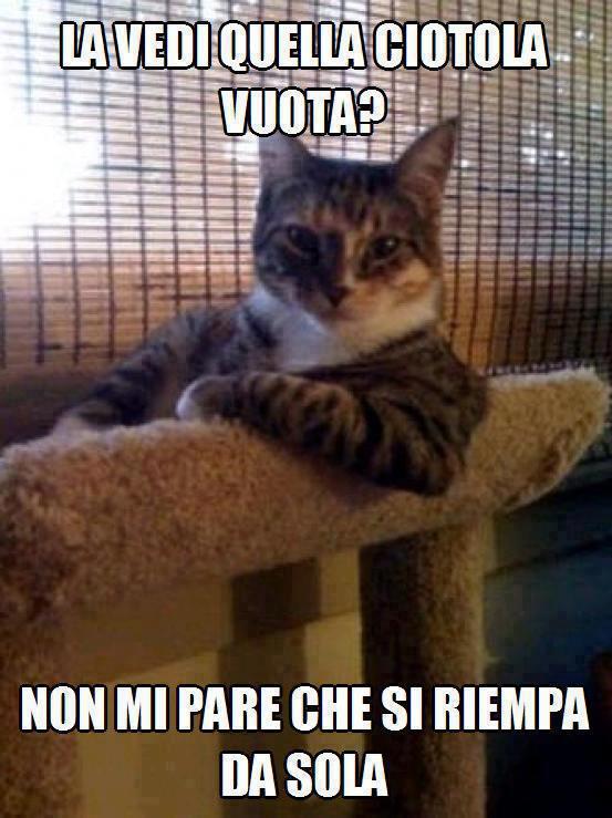 Immagine Divertente - 20/02/2013