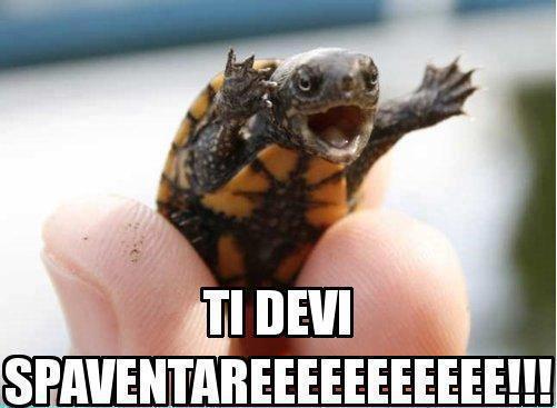 Immagine Divertente - 20/02/2013