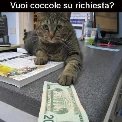 Immagine Divertente - 20/02/2013