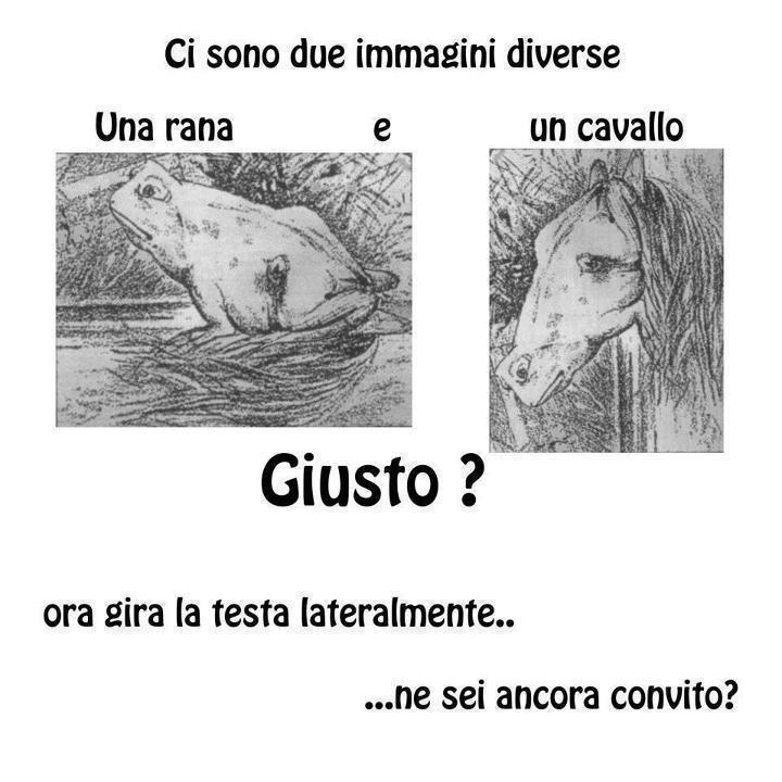 Vignetta Divertente - 20/02/2013
