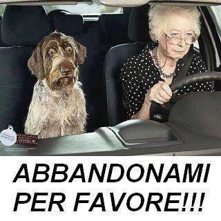 Immagine Divertente - 20/02/2013