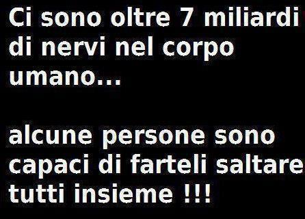 Immagine Divertente - 21/02/2013