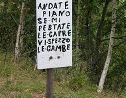 Immagine Divertente - 21/02/2013