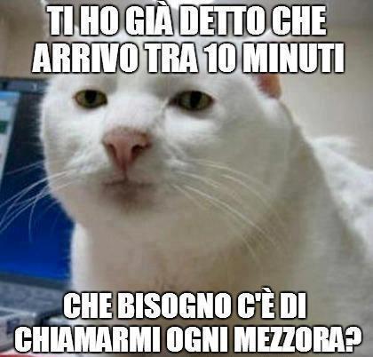 Immagine Divertente - 21/02/2013
