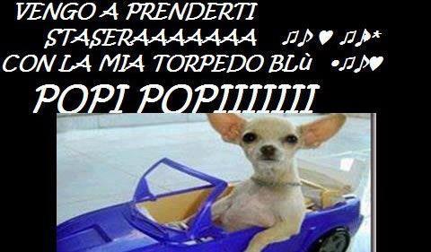 Immagine Divertente - 21/02/2013