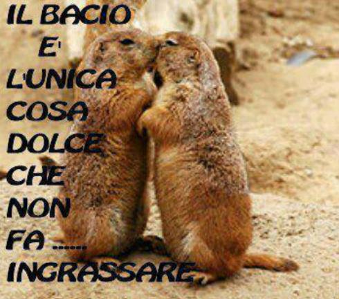 Immagine Divertente - 22/02/2013