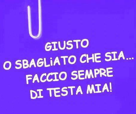 Immagine Divertente - 24/02/2013
