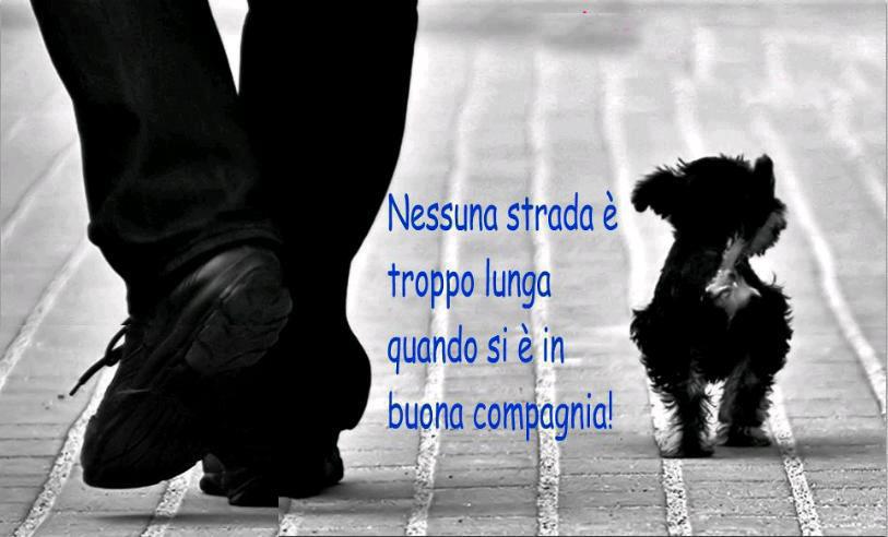 Immagine Divertente - 24/02/2013