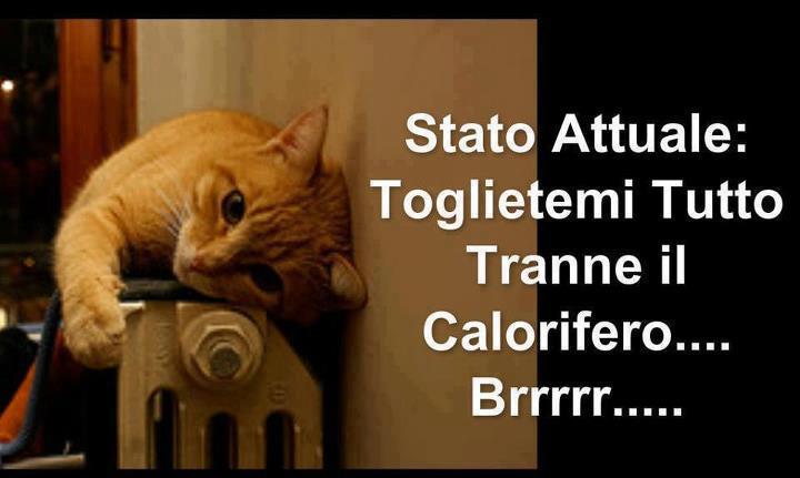 Immagine Divertente - 25/02/2013