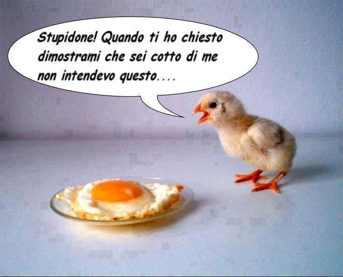 Immagine Divertente - 26/02/2013