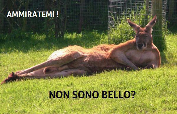 Immagine Divertente - 27/02/2013