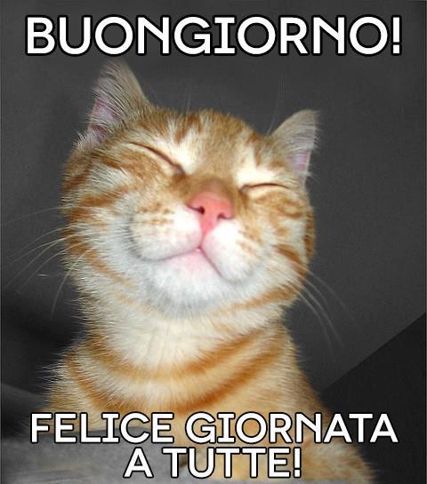 'NA BUONA GIORNATA A TUTTI !! - 28/02/2013